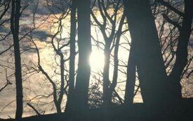 Galeria Podstrony Trzebiat&oacute;w w fotografii 273