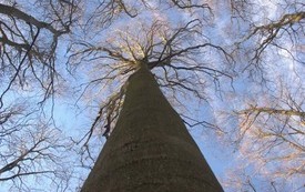 Galeria Podstrony Trzebiat&oacute;w w fotografii 276