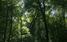 Galeria Podstrony Trzebiat&oacute;w w fotografii 282