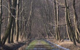 Galeria Podstrony Trzebiat&oacute;w w fotografii 287