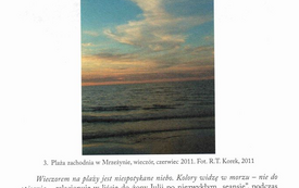 Galeria Podstrony Artykuły o Lyonelu Feiningerze 11