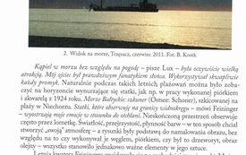 Galeria Podstrony Artykuły o Lyonelu Feiningerze 12