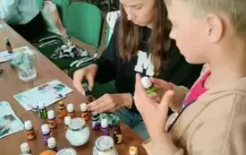 41