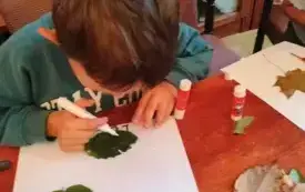 565650998_1209362707883459_1016333039713512463_n