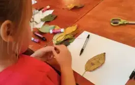 561525408_1209363814550015_8503565195836603313_n