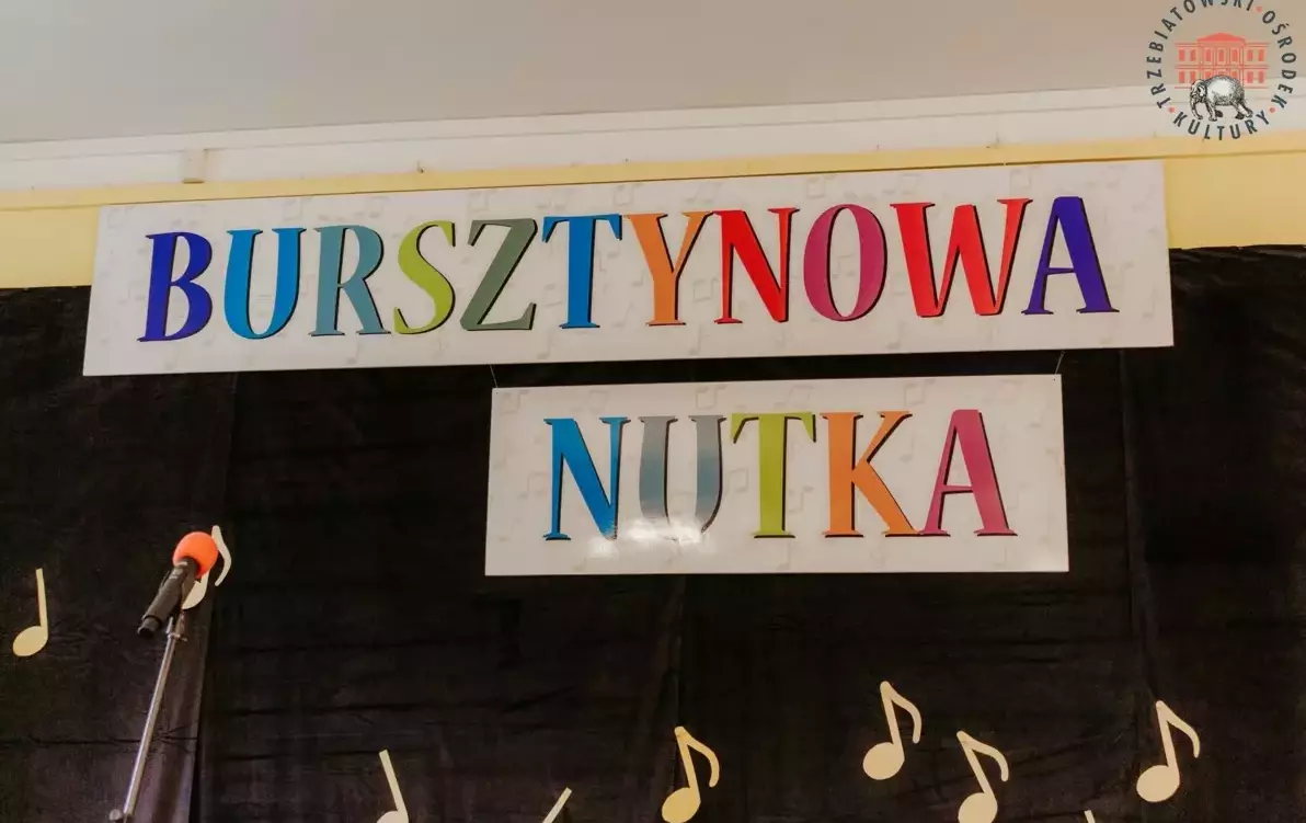 Zdjęcie do Festiwal &bdquo; O BURSZTYNOWĄ NUTKĘ&rdquo; 2025.