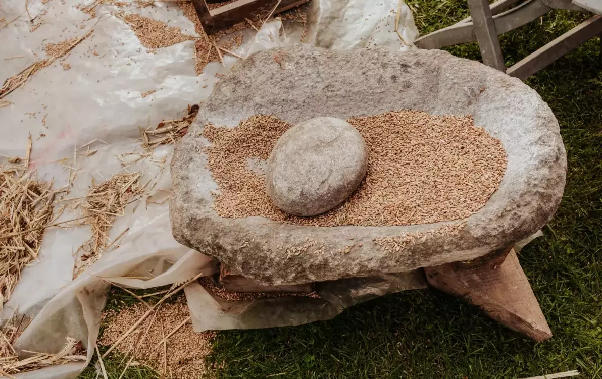 Zdjęcie do TRADYCJE I OBRZĘDY DOŻYNKOWE