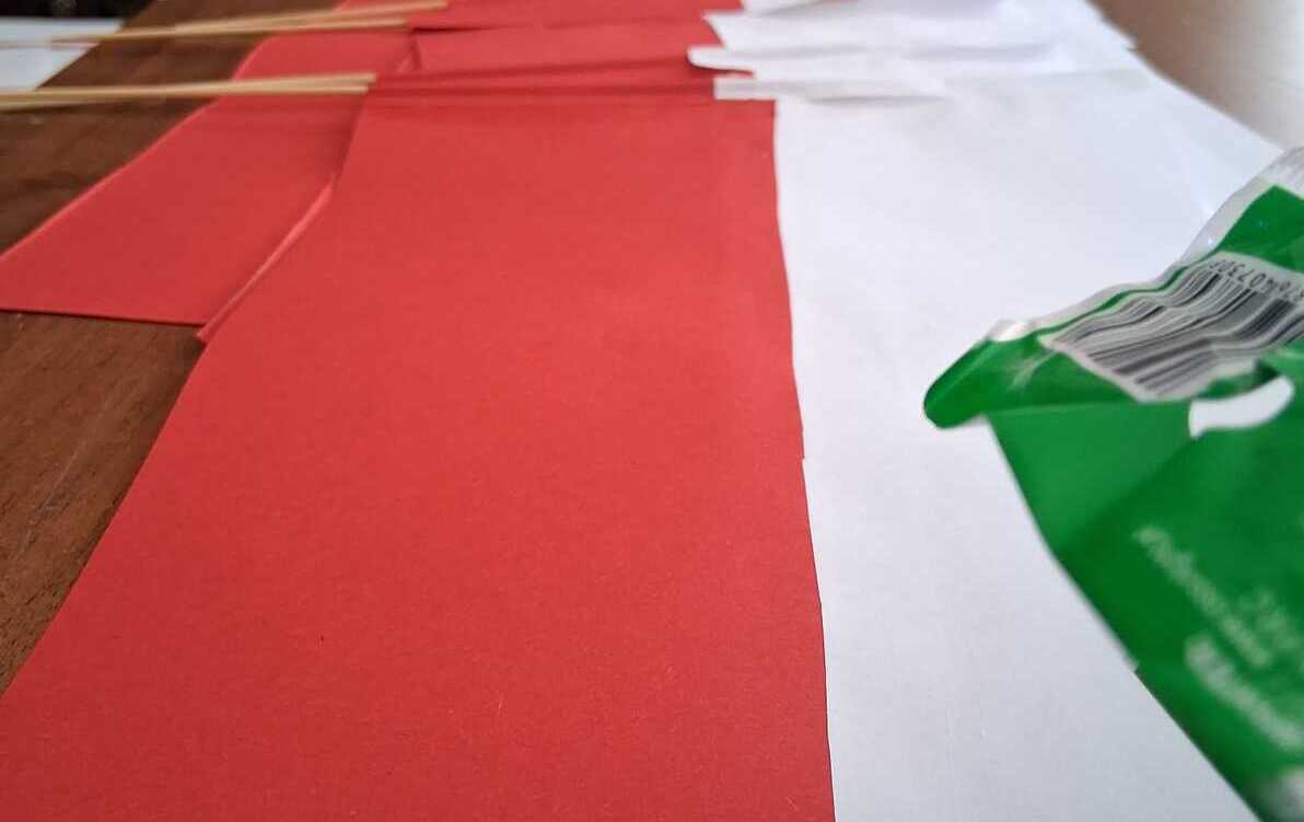 Zdjęcie do &nbsp; Maj&oacute;wka w Pałacu &ndash; było wspaniale!
