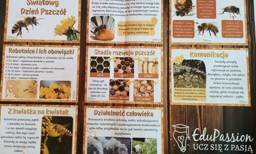 Zdjęcie do Międzynarodowy Dzień Pszcz&oacute;ł to święto obchodzone corocznie 20 maja.