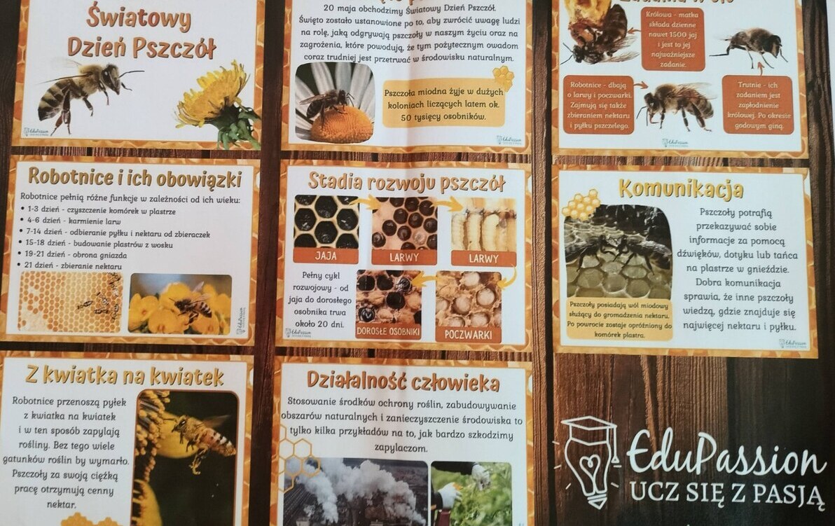 Zdjęcie do Międzynarodowy Dzień Pszcz&oacute;ł to święto obchodzone corocznie 20 maja.